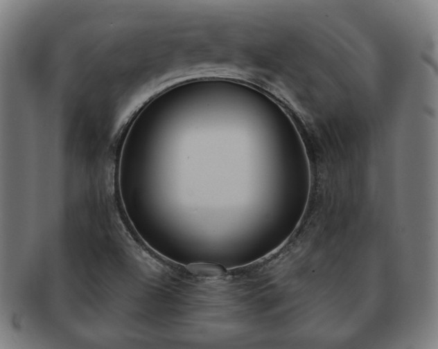 X0000091701504200708311041