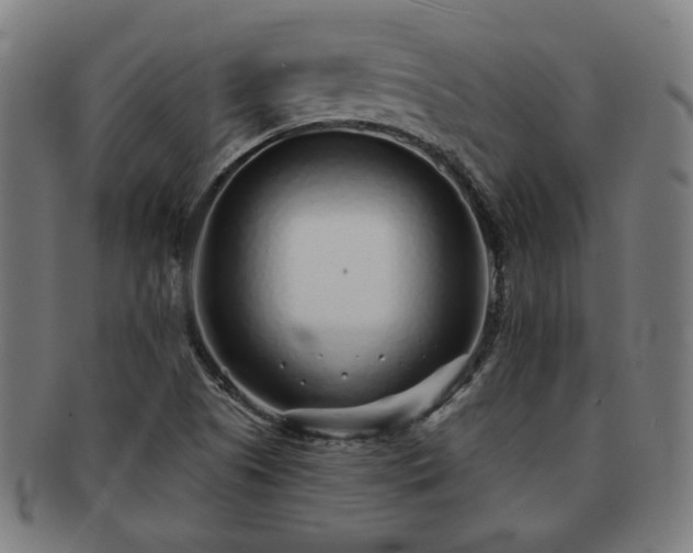 X0000091701505200708311041