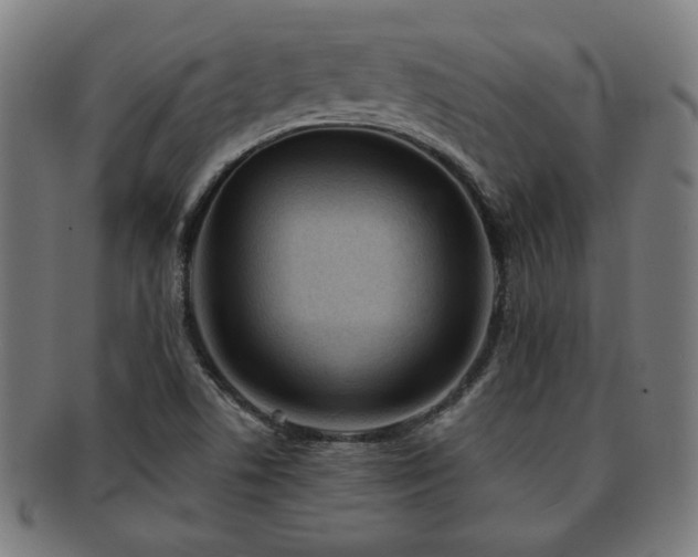 X0000091701506200708311041