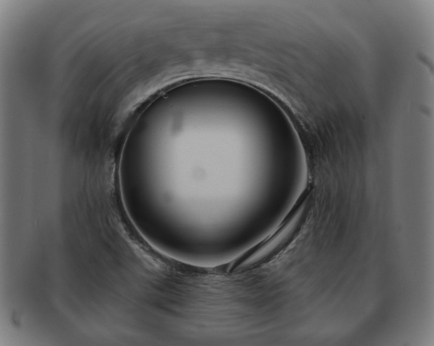 X0000091701507200708311041