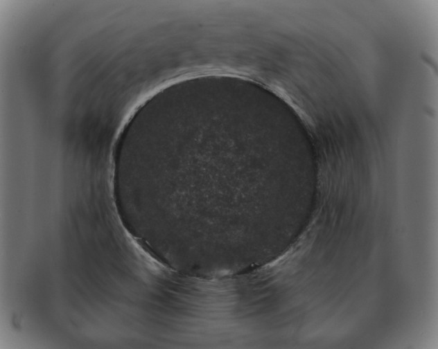 X0000091701508200708311041