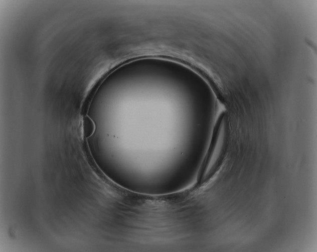 X0000091701509200708311041