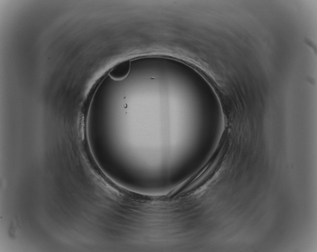 X0000091701510200708311041