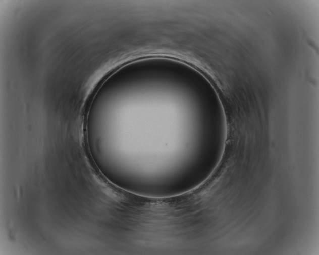 X0000091701511200708311041