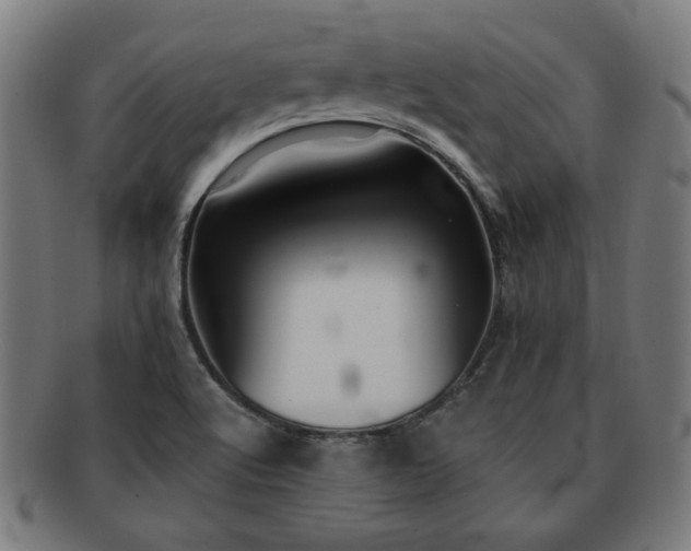 X0000091701512200708311041