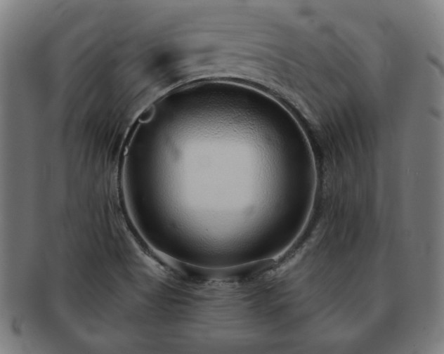 X0000091701513200708311041
