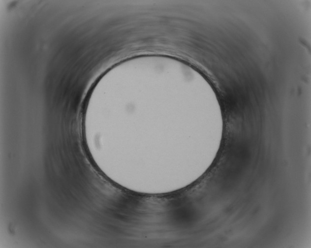 X0000091701514200708311041