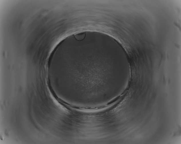 X0000091701515200708311041
