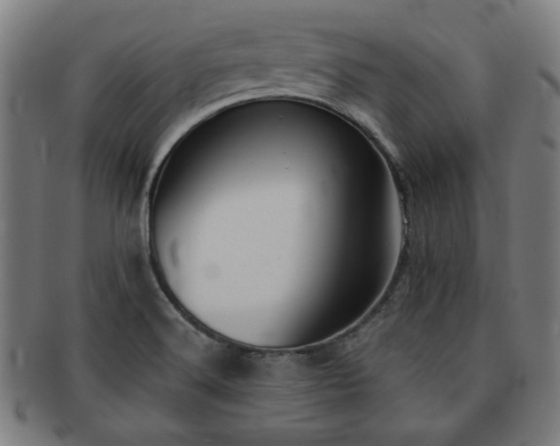 X0000091701516200708311041