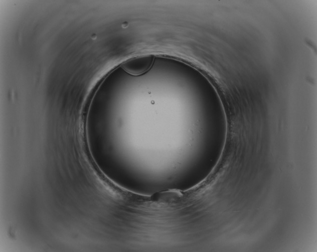 X0000091701517200708311041
