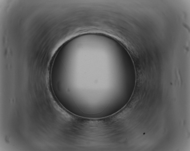 X0000091701518200708311041