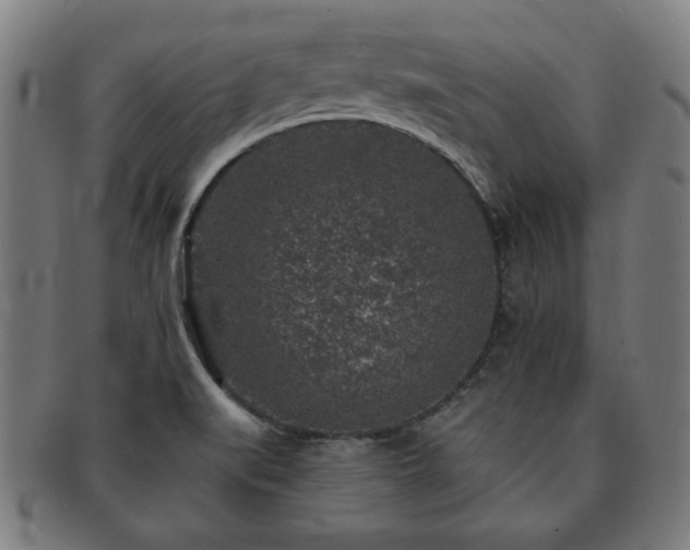 X0000091701519200708311041