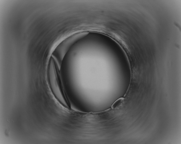 X0000091701520200708311041