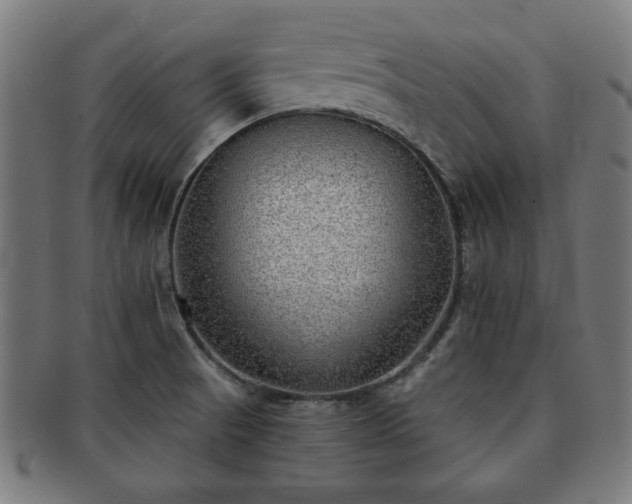 X0000091701521200708311041