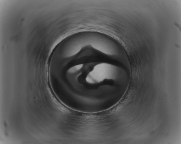 X0000091701522200708311041