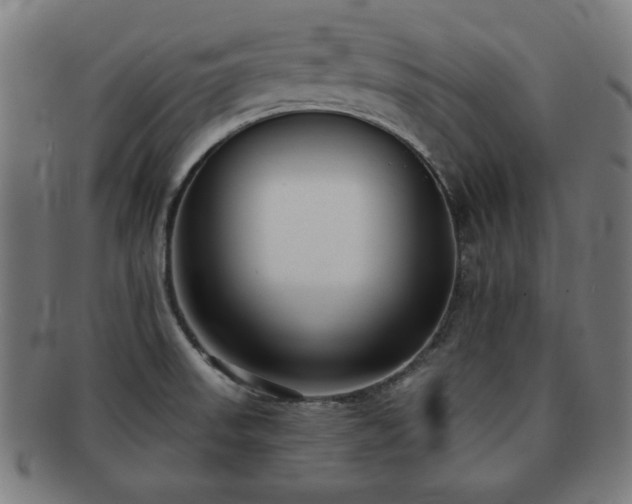 X0000091701523200708311041