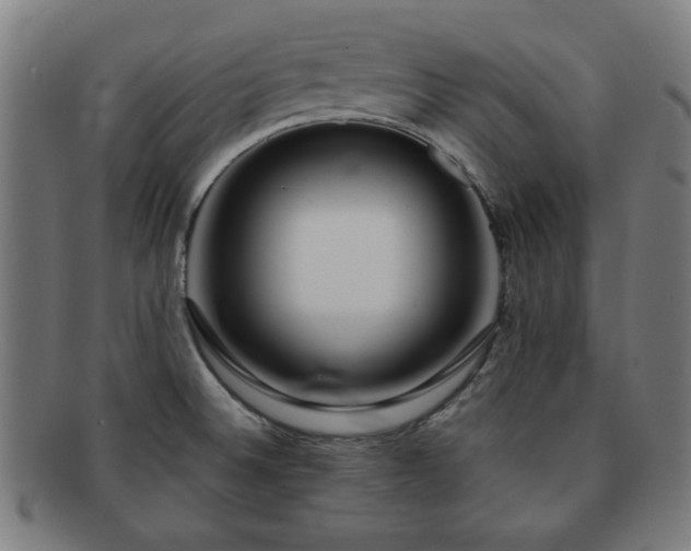 X0000091701524200708311041