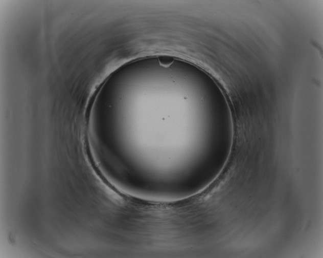 X0000091701525200708311041