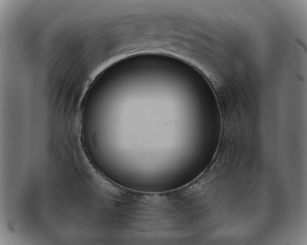 X0000091701526200708311041