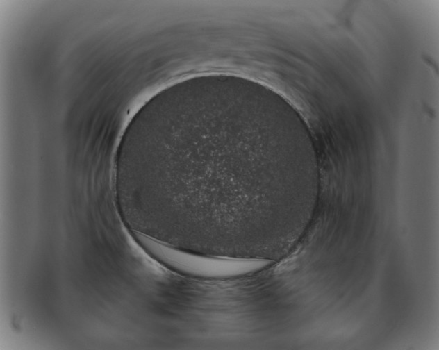 X0000091701527200708311041