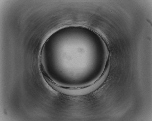 X0000091701528200708311041