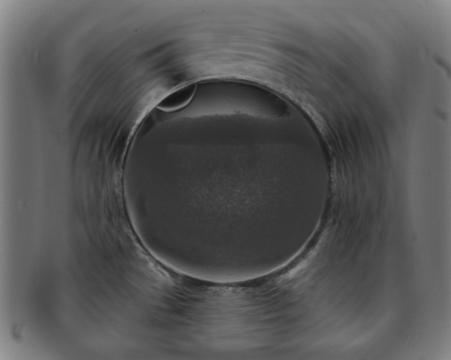 X0000091701529200708311041