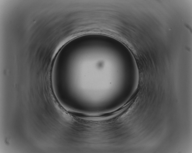 X0000091701530200708311041