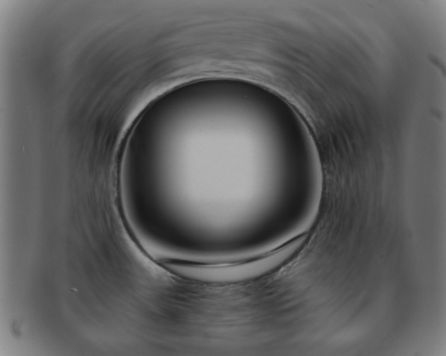 X0000091701531200708311042
