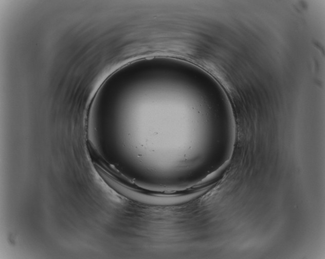 X0000091701532200708311042