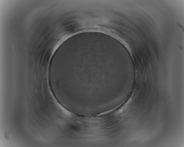 X0000091701533200708311042