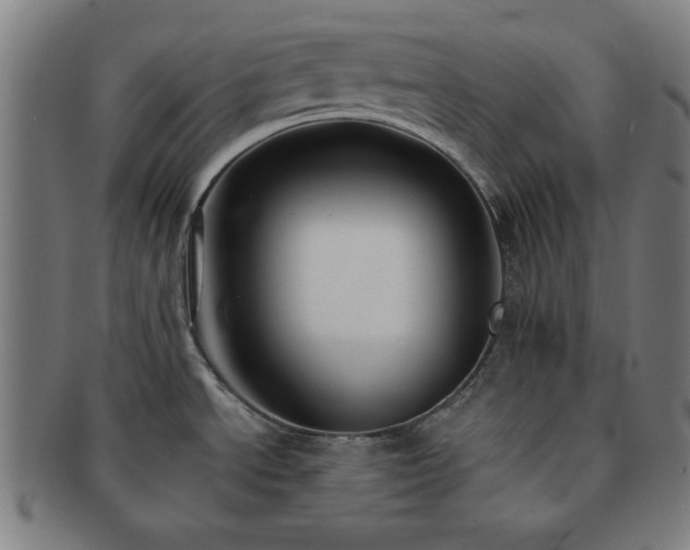 X0000091701534200708311042