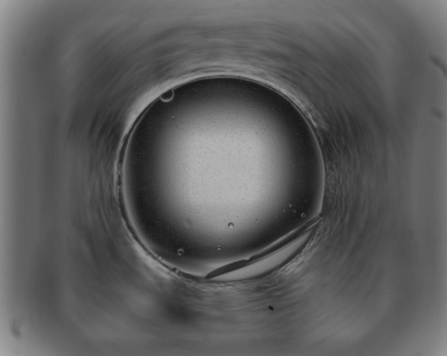 X0000091701535200708311042