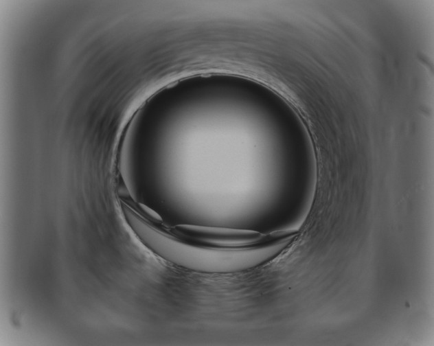 X0000091701536200708311042