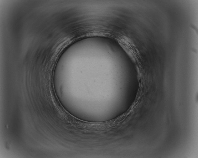 X0000091700001200709071400