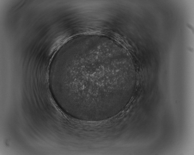 X0000091700002200709071400