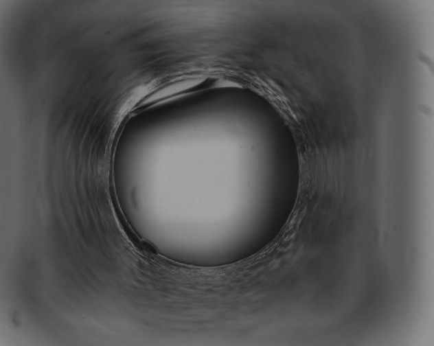 X0000091700003200709071400