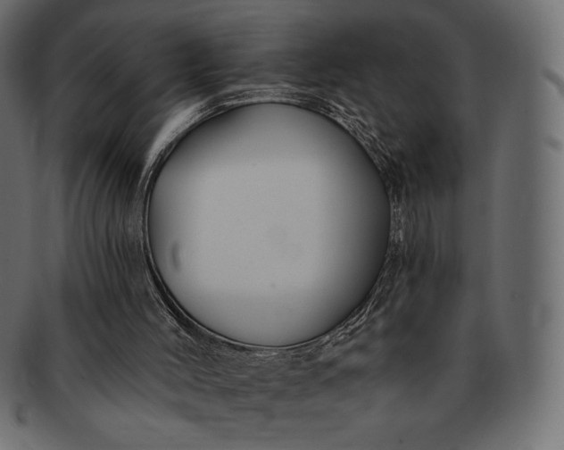 X0000091700004200709071400