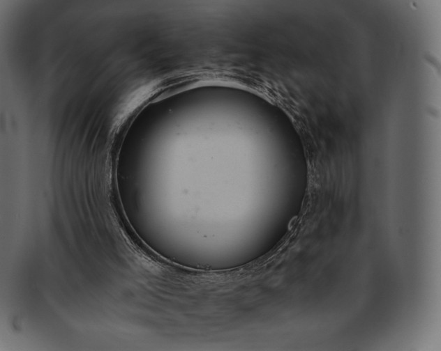 X0000091700005200709071400