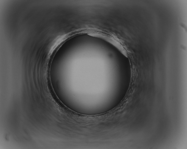 X0000091700007200709071400