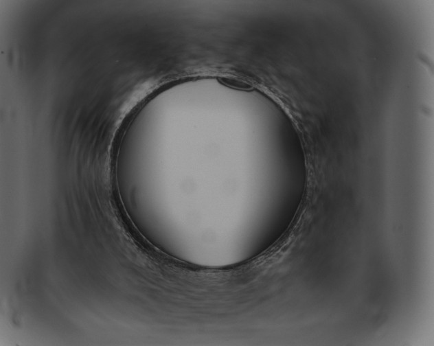 X0000091700008200709071400