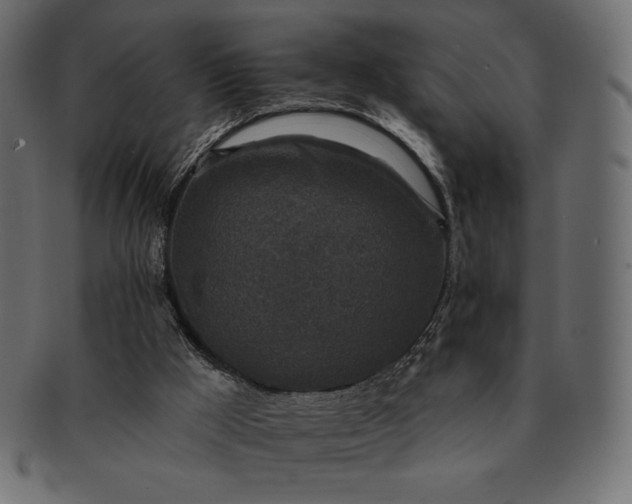 X0000091700009200709071400