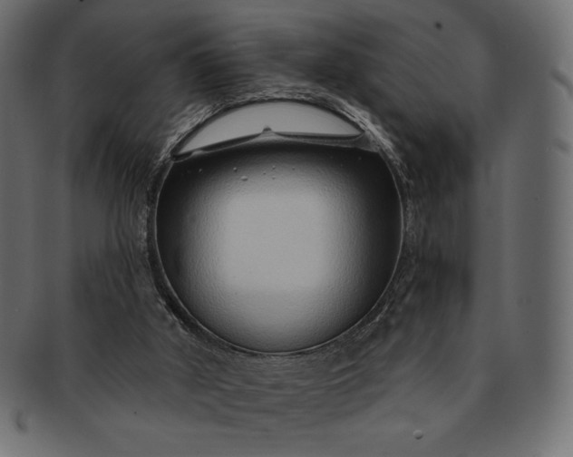 X0000091700010200709071400