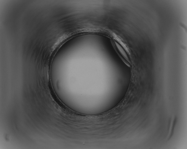 X0000091700011200709071400