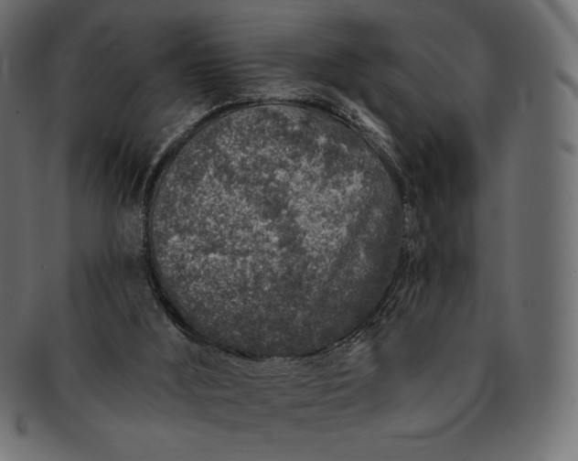 X0000091700012200709071400