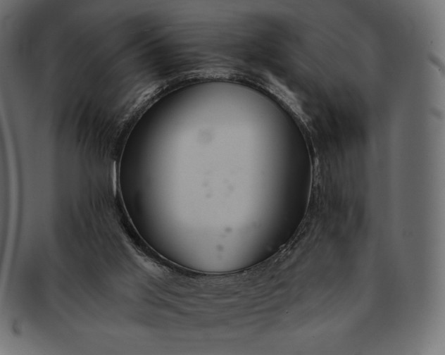 X0000091700013200709071400