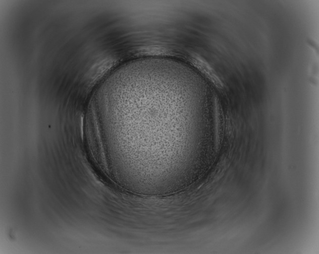 X0000091700014200709071400