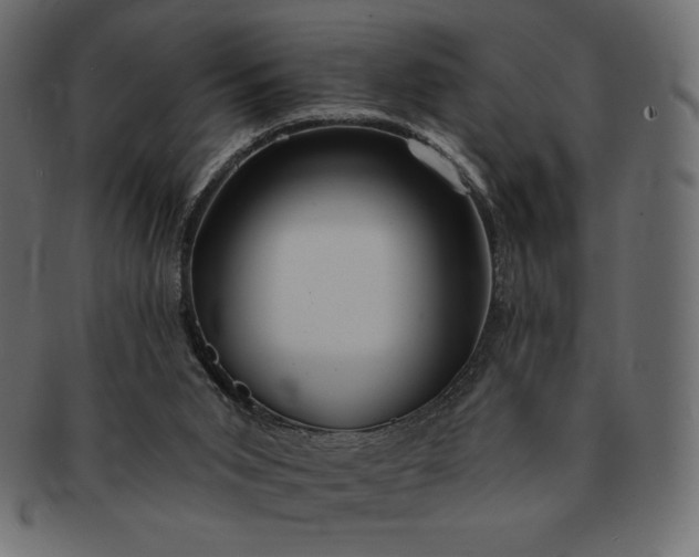 X0000091700015200709071400