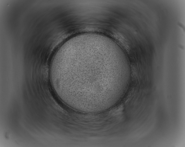 X0000091700016200709071400