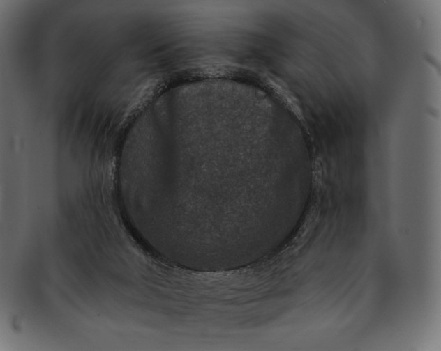 X0000091700018200709071400