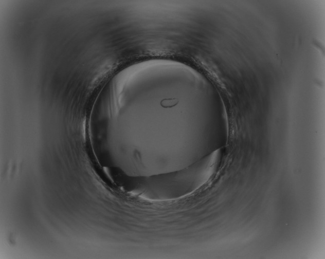 X0000091700019200709071400